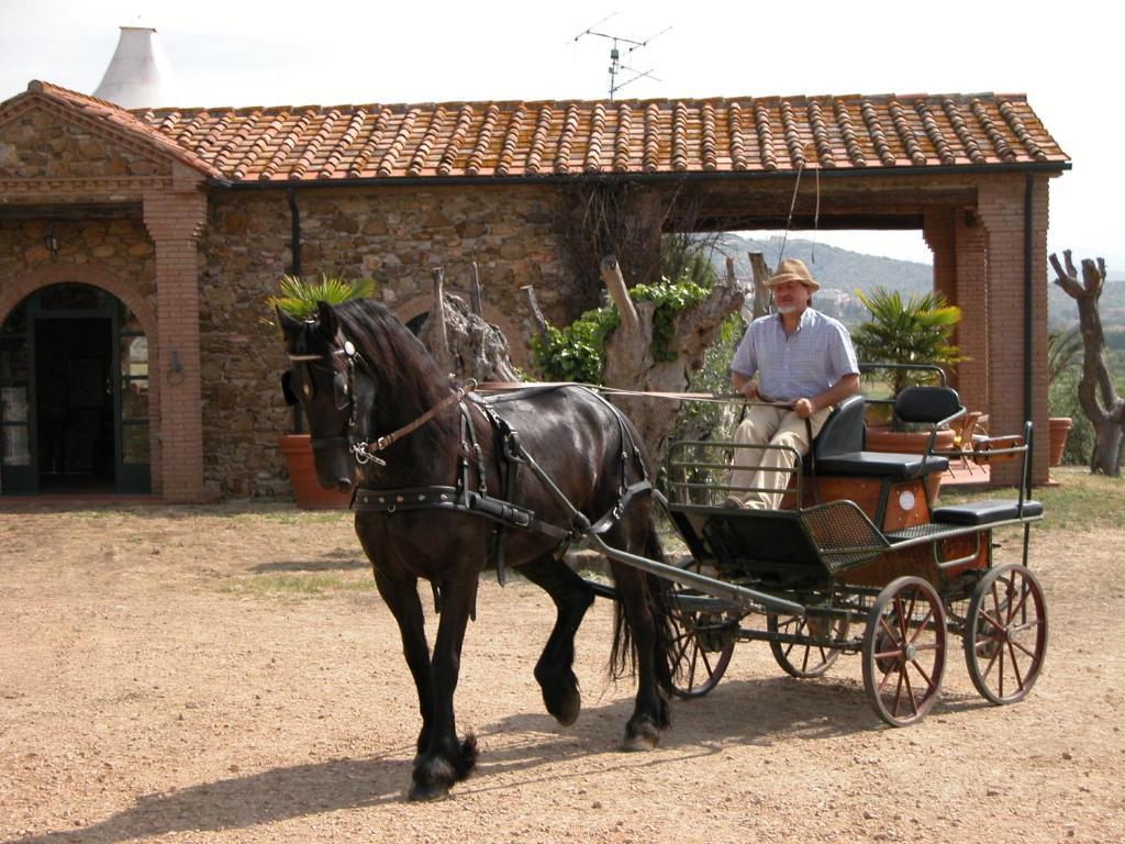 Agriturismo La Fontanella & Glamping Суверето Екстериор снимка