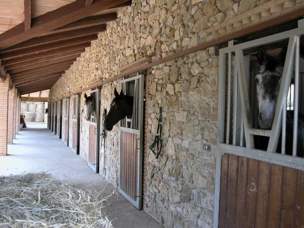 Agriturismo La Fontanella & Glamping Суверето Екстериор снимка